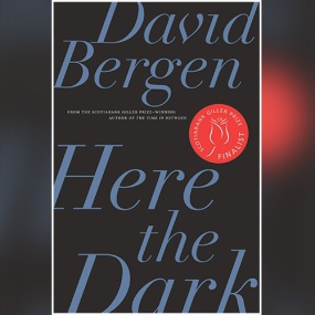 Here the Dark: A Novella and Stories by David Bergen