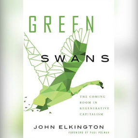 Green Swans: The Coming Boom In Regenerative Capitalism by John Elkington