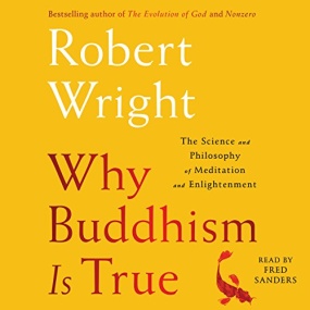 洞见 – Why Buddhism is True: The Science and Philosophy of Meditation and Enlightenment by Robert Wright
