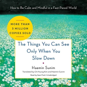 The Things You Can See Only When You Slow Down: Guidance on the Path to Mindfulness from a Spiritual Leader by Haemin Sunim