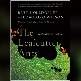 蚂蚁的社会 – The Leafcutter Ants: Civilization by Instinct by Bert Hölldobler, Edward O. Wilson