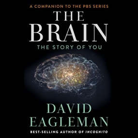The Brain: The Story of You by David Eagleman