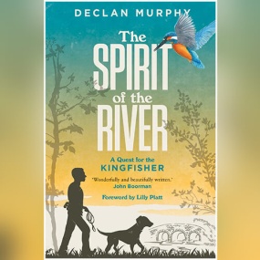 The Spirit of the River by Declan Murphy
